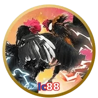 lc88